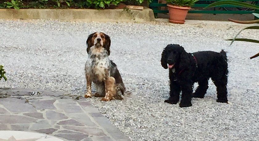 Corte degli Olivi di Avanzi M. e C. S.n.c.