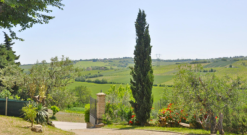 Il Cantinoccio