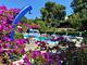 Camping Villaggio Internazionale