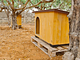 La Chicca di Milu' for Pet Lovers