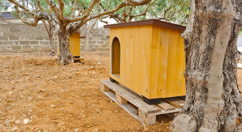 La Chicca di Milu' for Pet Lovers