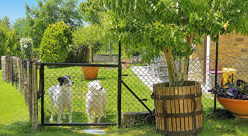 Casa vacanze IL PODERINO