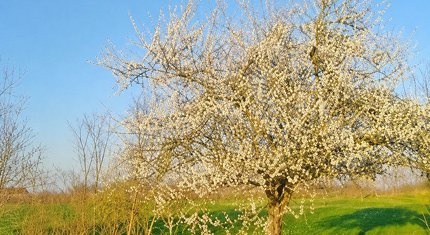 Agriturismo Natura Salute 