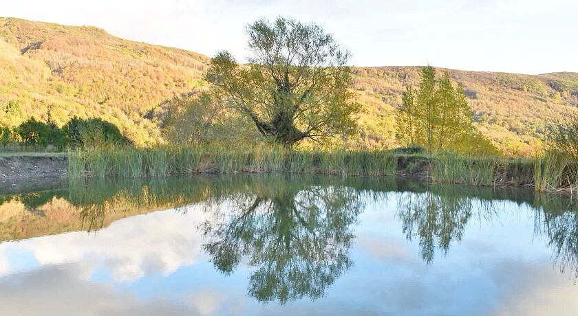 Fattoria Il Praticino