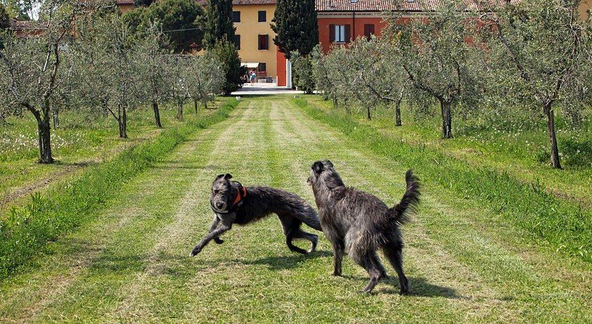 Agriturismo La Filanda