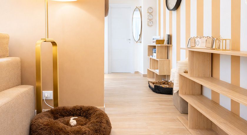 Le rondini in giardino 