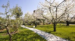 villa gesi relais