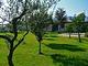 Villetta al mare