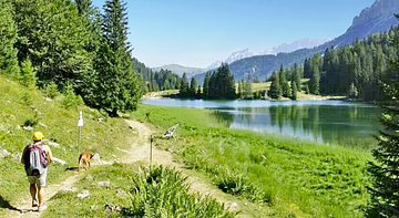 Residence Rosa delle Dolomiti