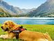 Ledro House Appartamenti Vacanza