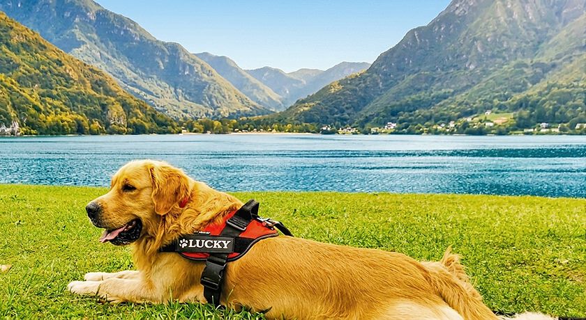 Ledro House Appartamenti Vacanza