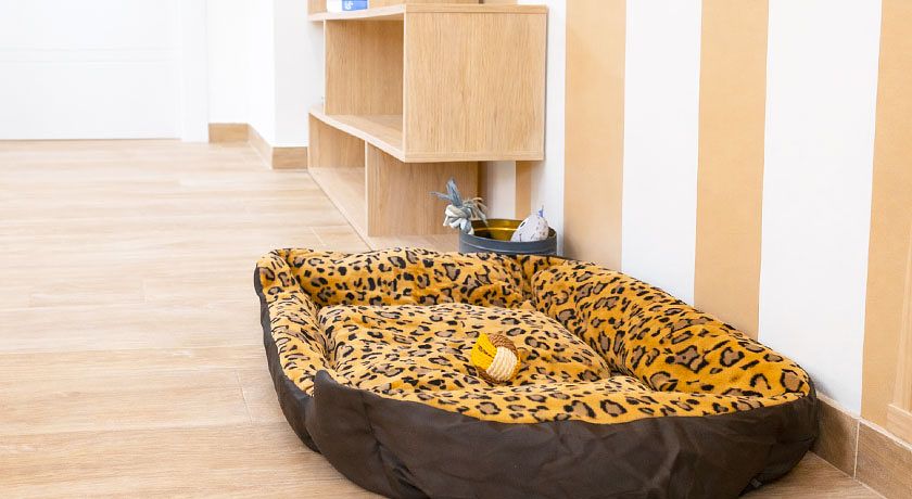 Le rondini in giardino 