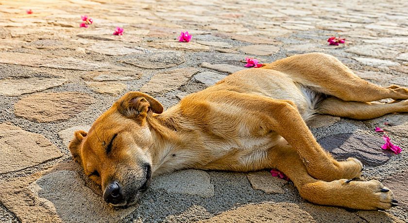 Agriturismo Case Tabarani