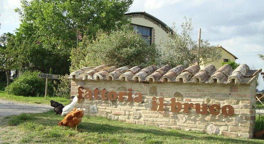 Agriturismo Fattoria Il Bruco