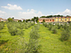 Agriturismo La Filanda