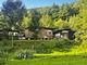 Camping Yoghi e Bubu