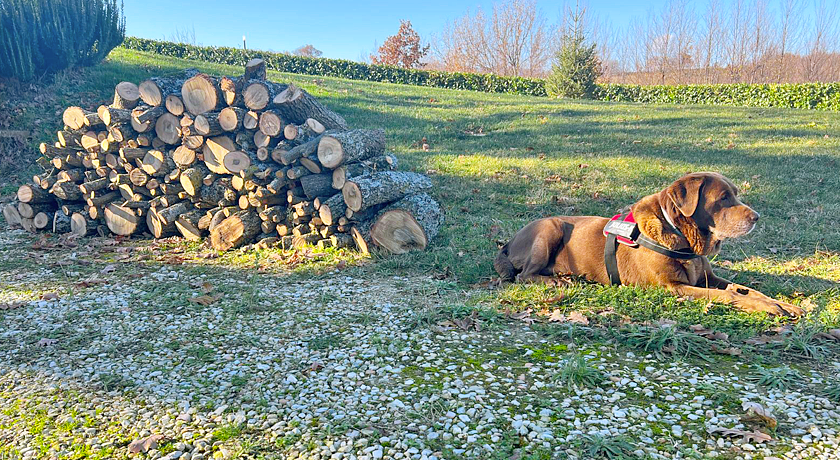 Selvicolle Country House