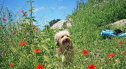 Agriturismo La Conca