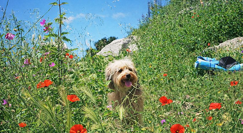 Agriturismo La Conca