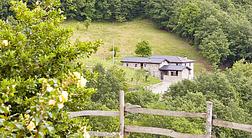 Agriturismo Le Querciole