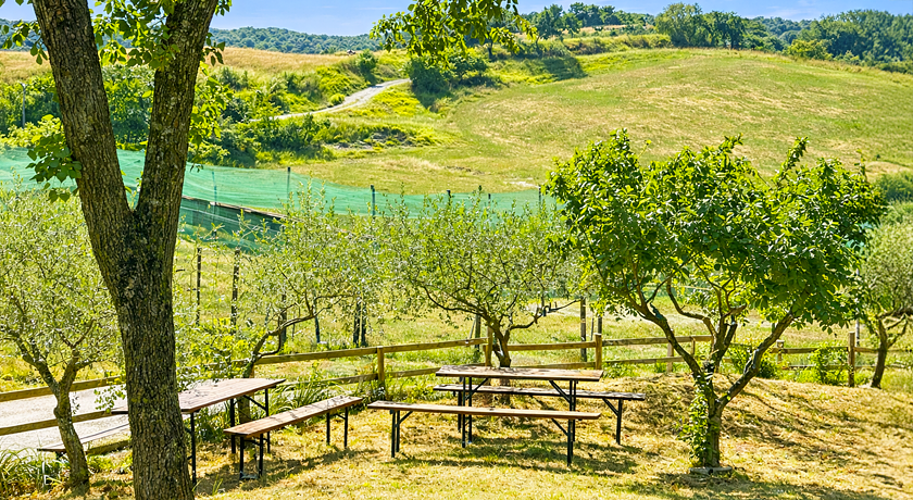 Agriturismo San Lorenzo