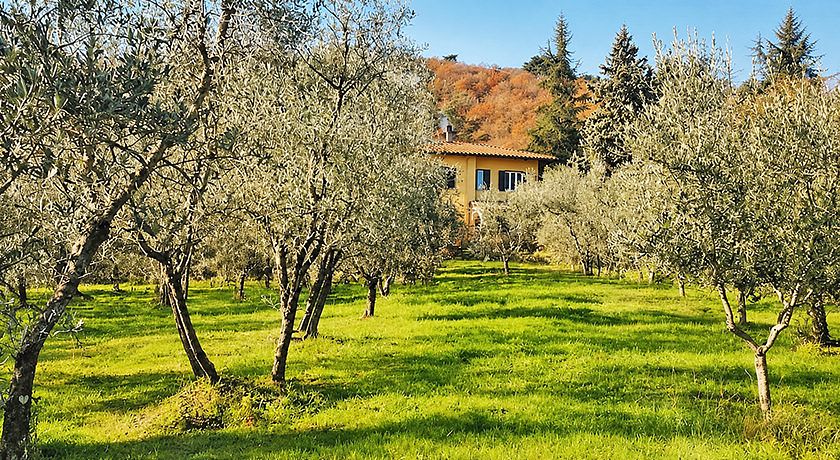 Podere delle Arti