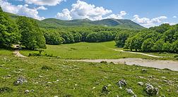 L'Abbraccio dei Faggi