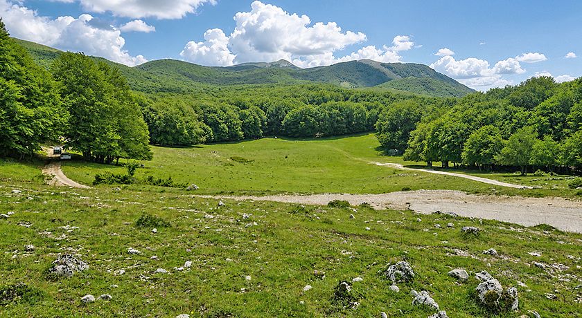 L'Abbraccio dei Faggi