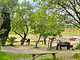 AGRITURISMO TREBISONDA COUNTRY RESORT