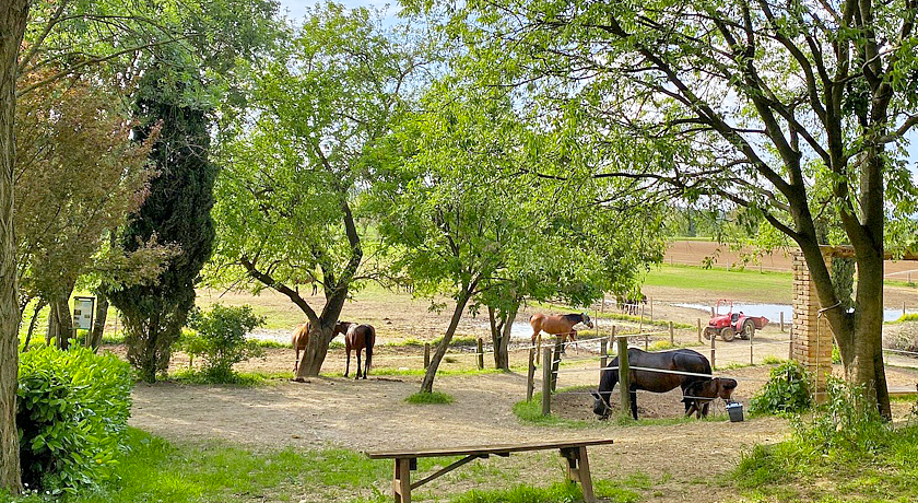 AGRITURISMO TREBISONDA COUNTRY RESORT