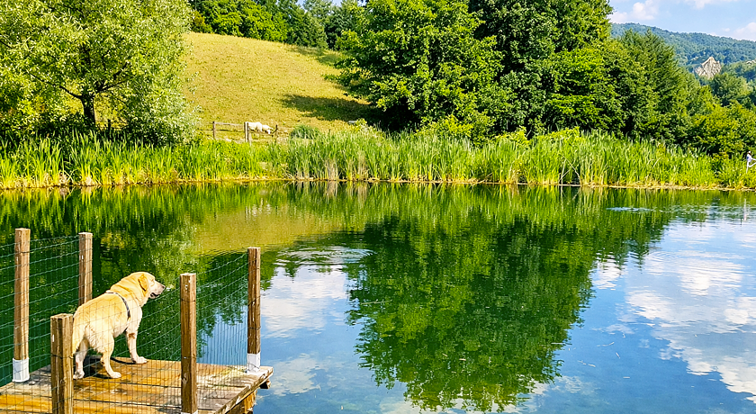 Mogginano Agriturismo Biologico