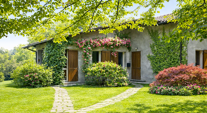 b&b l'albero maestro