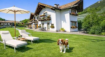 Agriturismo Alpenvidehof