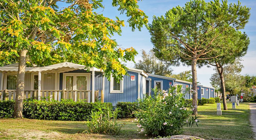 Vigna sul Mar Family Camping Village - Club del Sole 