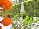 B&B Principe Calaf
