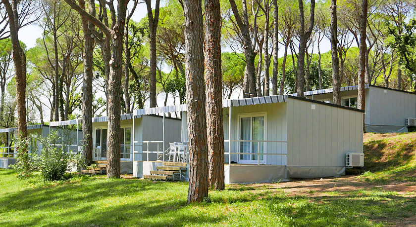 BELVEDERE PINETA