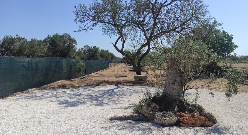 Trullo Dimora di Pietra Gallipoli