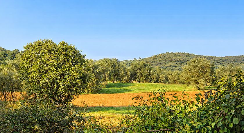 La Locanda del Minatore
