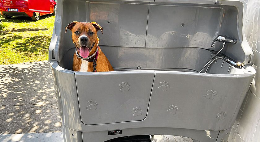 Camping Surabaja-La Playa