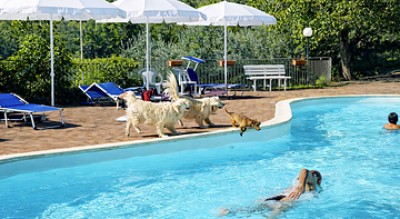 SetterHouse AgriHotel 