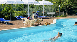 SetterHouse AgriHotel 