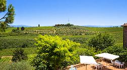 Agriturismo Bruscola 