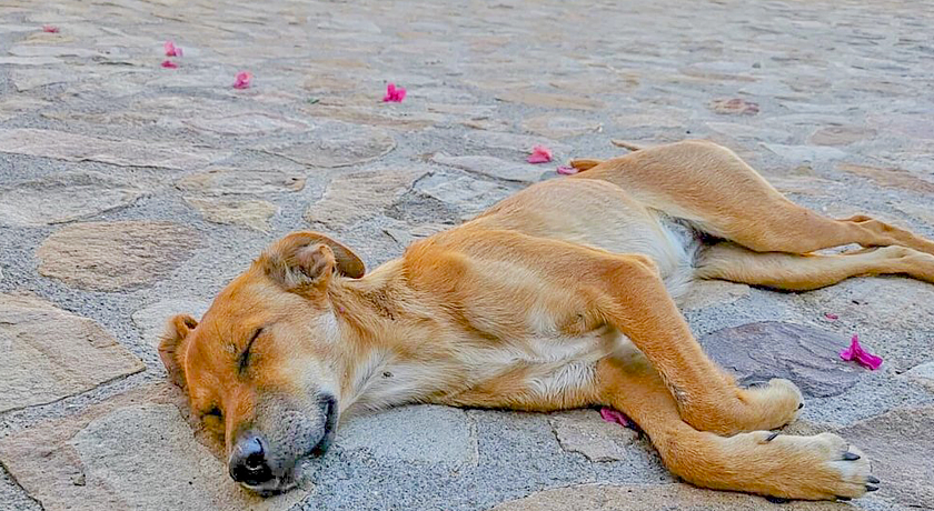 Agriturismo Case Tabarani
