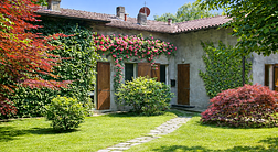 b&b l'albero maestro