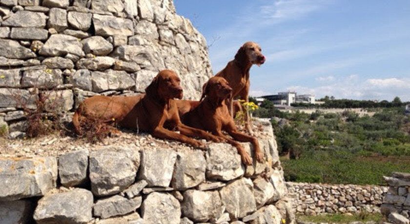 I trulli sul mare