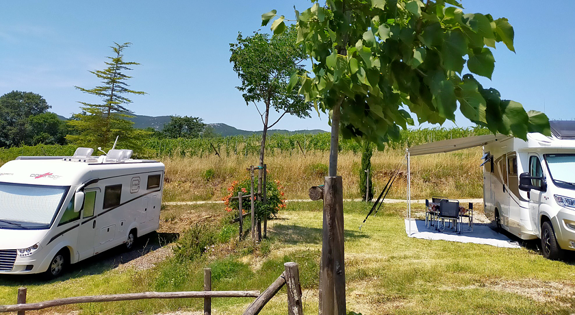 AGRICAMPEGGIO PODERE SANTA CLORINDA