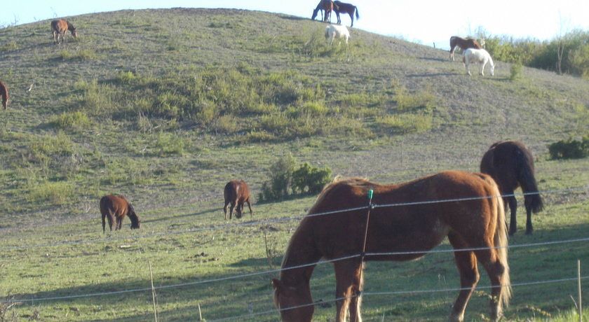 Montericco casavacanze