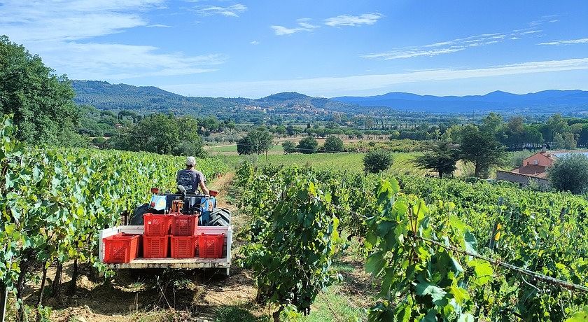 Agriturismo Colle Vento