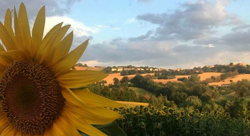  Il Giardino