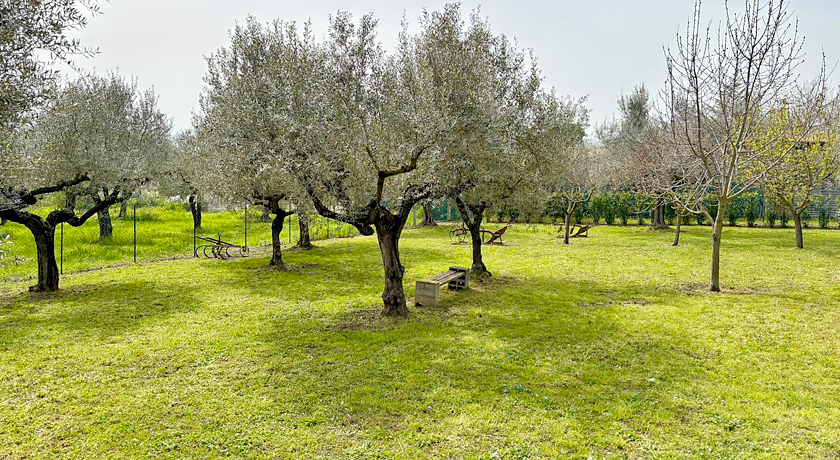 La Stalla di Nonno Zopito